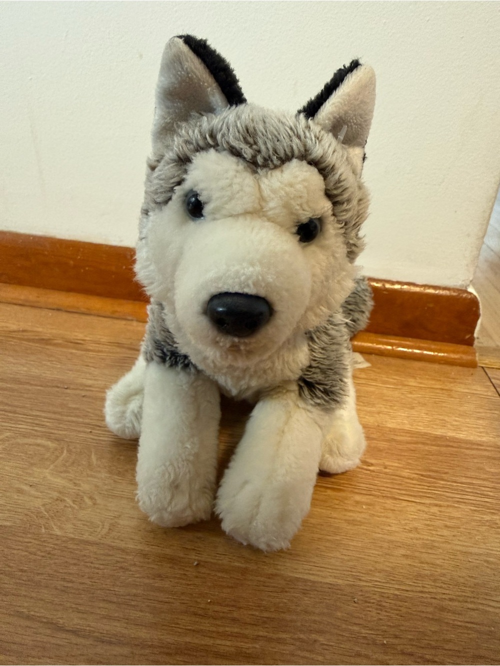 Toys R Us Plush Stuffed Seberian Husky 2012 9” Tall